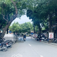 Cực Rẻ - Cần Bán Gấp Nhà Mặt Phố Cao Bá Quát - Phố Cổ Ba Đình, Gần Hoàn Kiếm 530M2 X 3T -Mặt Tiền15,5M