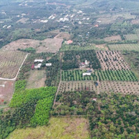 Bán Đất Tại Hàng Gòn, Long Khánh, Đồng Nai, 12 Tỷ, 20000M2, Giá Ưu Đãi
