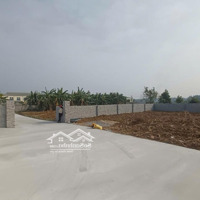 Chính Chủ Bán Lô Đất 1080M2 Giá Bán 2.4Tỷ Tại Mỹ Lương, Chương Mỹ, Sát Đường Mòn, Ô Tô Tải Vào Đất