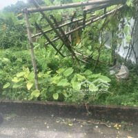 Siêu Phẩm Còn Sót Lại - Đất Tại Đức Thượng - Ô Tô Đỗ Cửa - Kinh Doanh Đỉnh