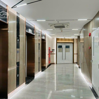Siêu Phẩm Căn Hộ 117M2 Ban Công Dài 6M Diamond Alnata Plus Giá Bán 7.8 Tỷ Nhận Nhà Kèm Suất Oto
