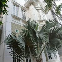 Làm Việc Chính Chủ,Mặt Tiềnngô Quang Huy, Q2.Diện Tích16X40M Giá Bán 95 Tỷ