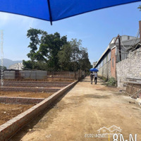 Bán Đất Tại Đường 446, Xã Phú Cát, Quốc Oai, Hà Nội, Giá Thỏa Thuận, 100M2