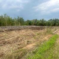 Bán 3 nền liền kề mặt tiền đường nhựa gần chợ Giáo Mẹo, Bình Minh, Vĩnh Long