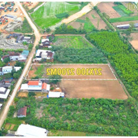 Bán Đất Làm Kho Xưởng Đức Tân - Mộ Đức - Quảng Ngãi