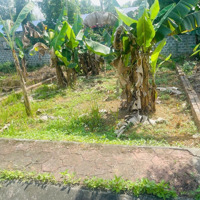 Chính Chủ Gửi Bán Lô Đất 75M2 Full Đất Ở, Gần Ngay Trục Chính Phú Mãn
