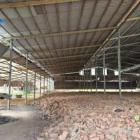 Cho thuê đất trống có mái Xưởng tạm 4500m2 Phường An Hòa Biên Hòa chỉ 68 tr/ tháng