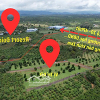 Bán Đất Đẹp Xuất Sắc Tại Lộc An, Bảo Lâm, Lâm Đồng 776 Triệu/Nền 120M2