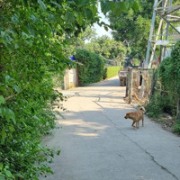 Cho Thuê Nhà Riêng 50M2, Giá Bán 6 Triệu Tại Phú Đô, Nam Từ Liêm, Hà Nội