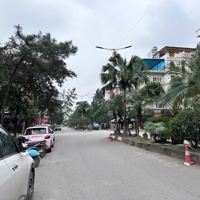 Cập Nhật Giỏ Hàng Liền Kề, Biệt Thự Mới Nhất, Giá Rẻ Nhất Khu Đô Thị Văn Khê
