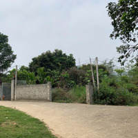 Bán Mảnh 811M2 Đất Nghỉ Dưỡng Siêu Đẹp, View Cánh Đồng, Gần Khu Đô Thị Đảo Ngọc
