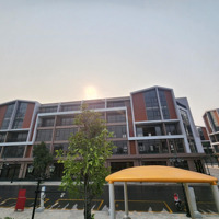 Bán Liền Kề Công Viên, Mặt Tiền 6M Trước Nhà Vốn 3.8 Tỷ Miễn Gốc Lãi 5 Năm Vinhomes Ocean Park 3Bán