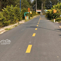 Ngộp Ngân Hàng Hạ Giá Bán 100 Triệu Bán Gấp 3 Lô Đất 5X20 Đường Nhựa 15M Thổ Cư 100% Đa Lộc Vĩnh Cửu Bh