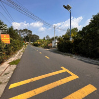 Ngộp Ngân Hàng Hạ Giá Bán 100 Triệu Bán Gấp 3 Lô Đất 5X20 Đường Nhựa 15M Thổ Cư 100% Đa Lộc Vĩnh Cửu Bh