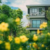 Bán Nhà Phố Central Bay [Cb3-15], Eco Central Park Vinh, 6.3 Tỷ, 88M2