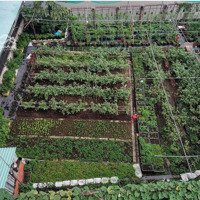 Cho Thuê Mặt Bằng Ven Sông 800M Lý Tưởng Kinh Doanh Cafe Sân Vườn Tại Tp. Thủ Đức