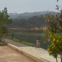 Biệt Thự 216M2 View Hồ, Dãy Hot Mới Ra, Liên Hệ Ngay Để Được Chiết Khấu Mua Sớm
