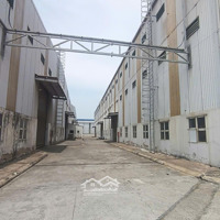 Cho Thuê Kho Xưởng Mặt Tiền Trần Đại Nghĩa - Bình Chánh, Khuôn Viên : 12.000M2, Xưởng: 7.000M2