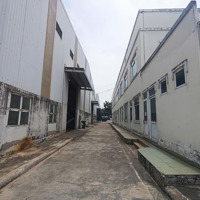 Cho Thuê Kho Xưởng Mặt Tiền Trần Đại Nghĩa - Bình Chánh, Khuôn Viên : 12.000M2, Xưởng: 7.000M2