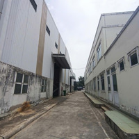 Cho Thuê Kho Xưởng Mặt Tiền Trần Đại Nghĩa - Bình Chánh, Khuôn Viên : 12.000M2, Xưởng: 7.000M2