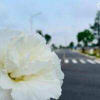 ĐẤT NỀN SỔ SẴN CÔNG CHỨNG NGAY TRONG NGÀY ĐỐI DIỆN ECO RETREAT
