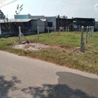 NGỘP LẮM RỒI! CẦN BÁN NHANH LÔ ĐẤT HƯƠNG QUẢ NGAY ĐƯỜNG TRUNG LẬP SHR GIÁ CHỈ 610 TRIỆU