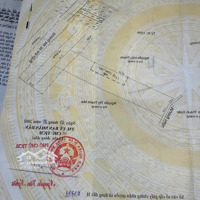 Bán Đất 748M2 Tại Nguyễn Thị Tươi, Tân Bình, Dĩ An, Bình Dương, Giá Tốt 13,99 Triệu Vnd/M2