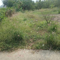 Đất Mtd Nguyễn Văn Tư.btdiện Tích120M2 Giá 400 Gần Ubnd Châu Thành .Khu Vực Đông Dân Cư . Sổ Hồng Riêng