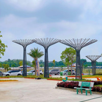 Bán Đất Đối Diện Kcn Tân Bình ,Sổ Hồng Riêng,Dân Cư Đông Đúc.