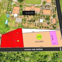 Ấp Đá Chồng - Bãi Thơm (Cạnh Đồn Biên Phòng Sà Lực Và Trường Liên Cấp Ấp Đá Chồng)