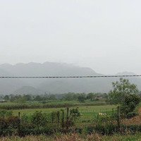Bán Đất 800M2 Có 200M2 Thổ Cư Tại Xã Vĩnh Tiến, Kim Bôi, Hòa Bình, 1,25 Tỷ