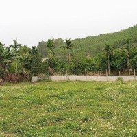 Bán Đất 800M2 Có 200M2 Thổ Cư Tại Xã Vĩnh Tiến, Kim Bôi, Hòa Bình, 1,25 Tỷ