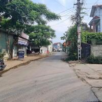 Bán đất Rộng - Đẹp Đồng bông, Kim long, Tam dương, Vĩnh phúc.