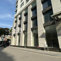 Siêu Hót Cho Thuê Mặt Phố Hoàng Cầu, Đống Đa Mặt Tiền 20M, Diện Tích 600M2