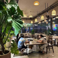 Bán Nhà Mặt Phố Trần Quý Kiên, Cầu Giấy 45 Chỗ, Vỉa Hè Bát Ngát, Kinh Doanh Sầm Uất 45M2, 21 Tỷ