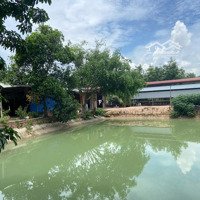 Bán Lỗ Trang Trại Và Đất Vườn Hơn 2Ha Giáp Củ Chi, 1/ Trung Lập, Qh Kdc, Thị Xã Trảng Bàng.