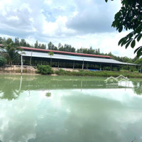Bán Lỗ Trang Trại Và Đất Vườn Hơn 2Ha Giáp Củ Chi, 1/ Trung Lập, Qh Kdc, Thị Xã Trảng Bàng.