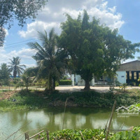 Bán Đất View Sông Cầu Tràm 1 Hec Ta Có 2000M2 Đất Ở Cần Giuộc