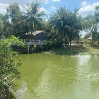 Bán Đất View Sông Cầu Tràm 1 Hec Ta Có 2000M2 Đất Ở Cần Giuộc