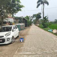 Đất Hoa Đường, Trường Thịnh, Ứng Hòa, 288M2, Giá Liên Hệ 0886.74.33.66