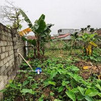 Đất Hoa Đường, Trường Thịnh, Ứng Hòa, 288M2, Giá Liên Hệ 0886.74.33.66