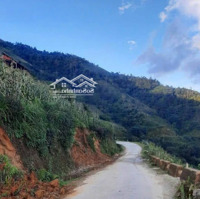 Bán Đất Tại Tả Phìn, Sa Pa, Lào Cai, 500 Triệu, 500 M2