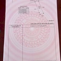 Chính Chủ Cần Bán Đất Lúa Ở Cần Đước - Long An