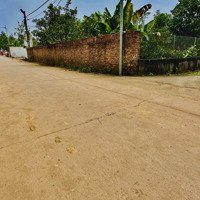 700 Mét - Đất Phúc Xuân. Vuông Đẹp, Đ.tư Thắng Lớn. Đường Trục Chính, Cách Ubnd Xã 500 Mét.
