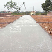 Cần Bán Lô Đất 80M2 Full Thổ Cư Tại Xuân Đồng Tân Minh Sóc Sơn Hà Nội.