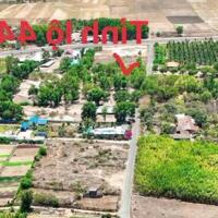 Bán hơn 2.000m2 có 35m mặt tiền nhựa sát đường TL44B TT Phước Hải mới. LOng Đất .BRVT