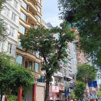 Góc 2 Mặt Tiền Trần Hưng Đạo,Quận 1,Ngay Phố Tây Bùi Viện, Ngang 6,5M, 5 Tầng, Hđt 240 Triệu, Giá Bán 65 Tỷ