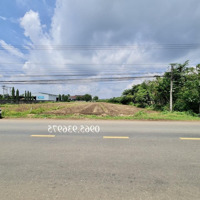 Đất Trung Tâm Suối Nghệ, Châu Đức, Bà Rịa Vũng Tàu
