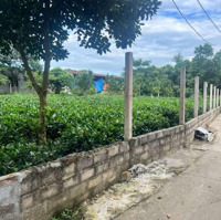 Bán Đất Tại Đường 87A, Xã Ba Trại, Ba Vì, Hà Nội, 2,7 Tỷ, 720 M2 Giá Siêu Hời
