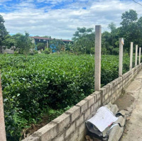 Bán Đất Tại Đường 87A, Xã Ba Trại, Ba Vì, Hà Nội, 2,7 Tỷ, 720 M2 Giá Siêu Hời